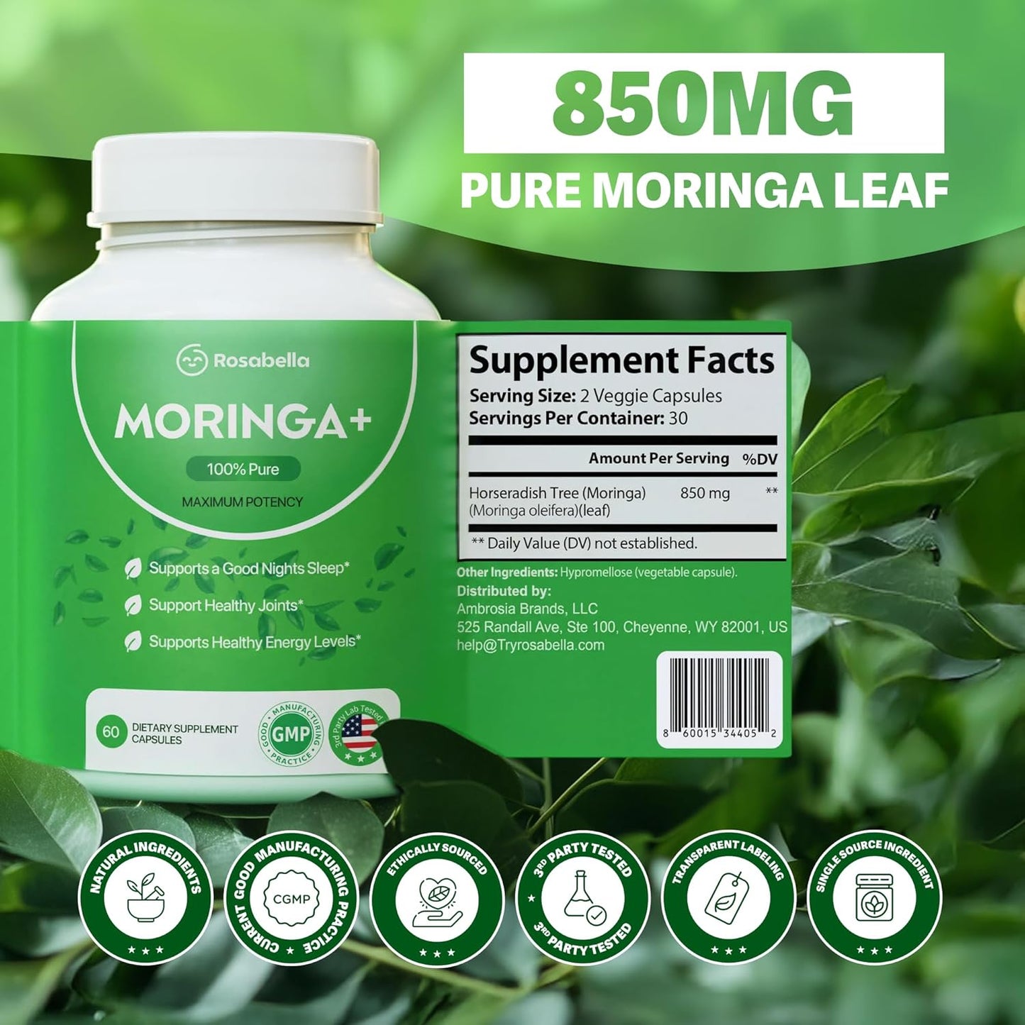 Moringa+ Capsules - Pure Moringa Powder,Plant-Based Daily Wellness Support